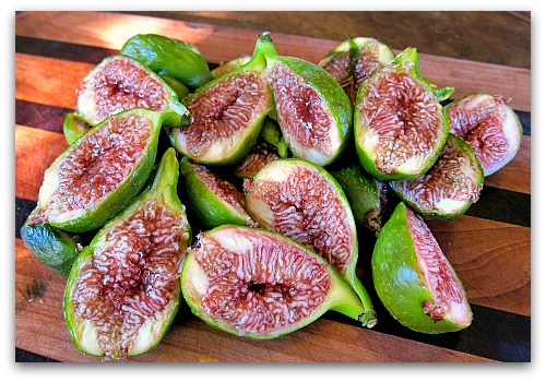 Best 5 Fig Tree For Pacific Northwest