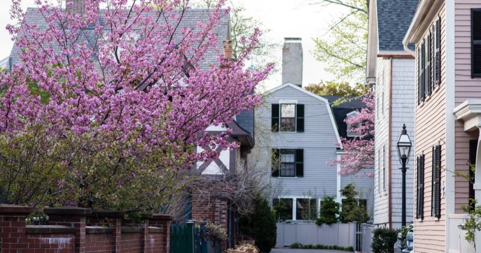 7 Best Flowering Trees For Massachusetts