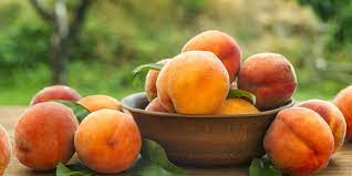 Best 6 Peach Trees For Oklahoma