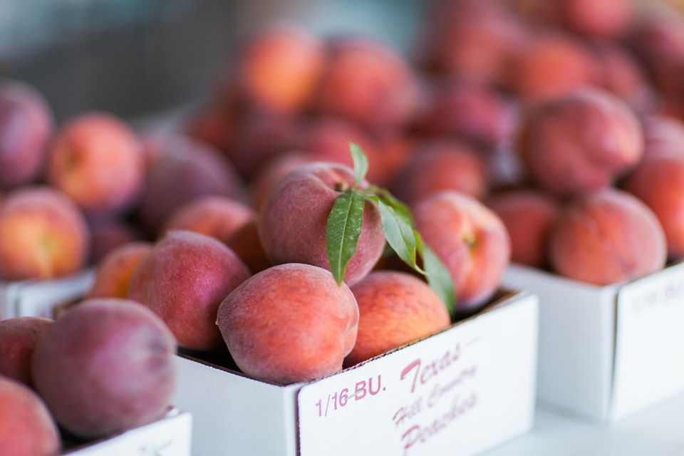 Best 7 Peach Trees For Austin Texas