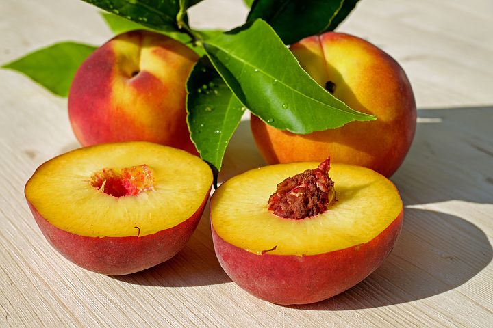 Will Peach Trees Grow In Michigan?