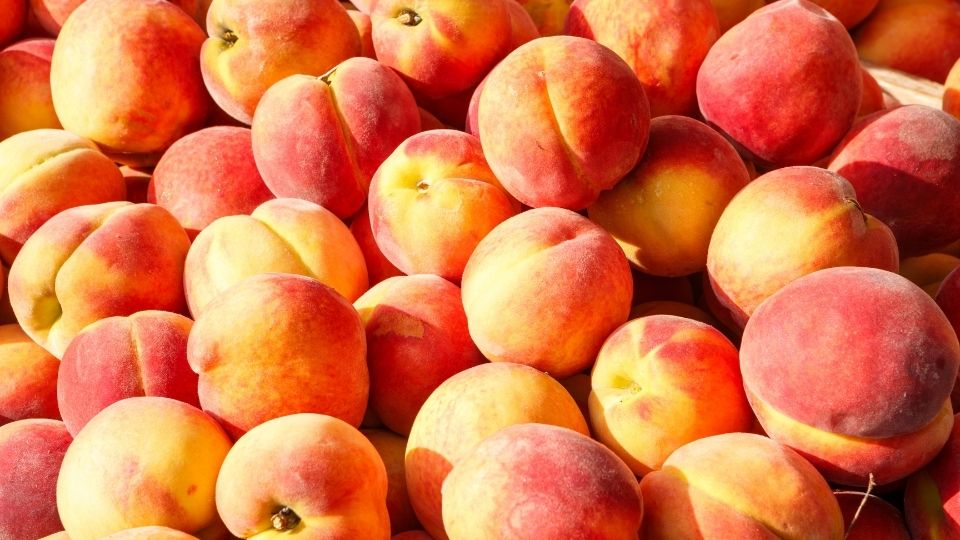 Can You Smoke Food With Peach Trees?