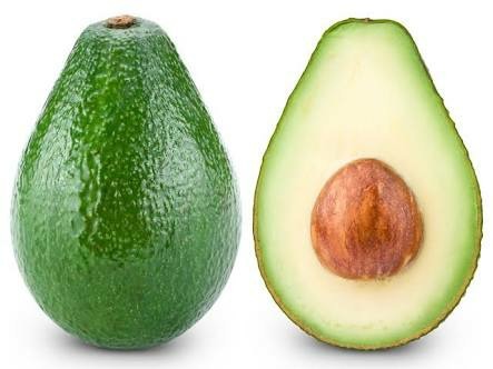 Best 5 Avocado Tree For Southern California